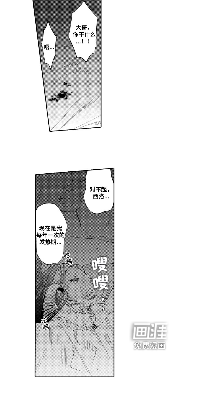 第18话：第18章：保护【完结】预览分镜