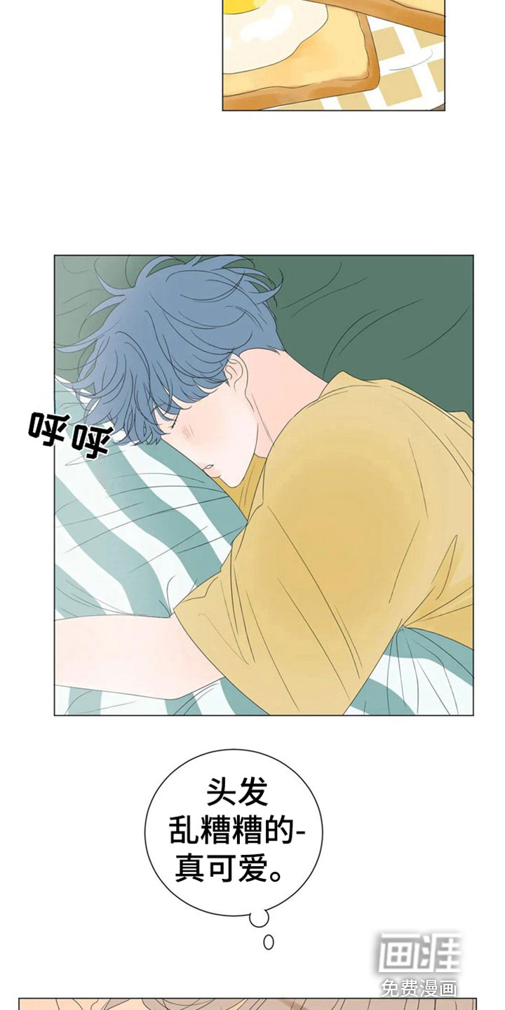 第4话：第4章：同居预览分镜