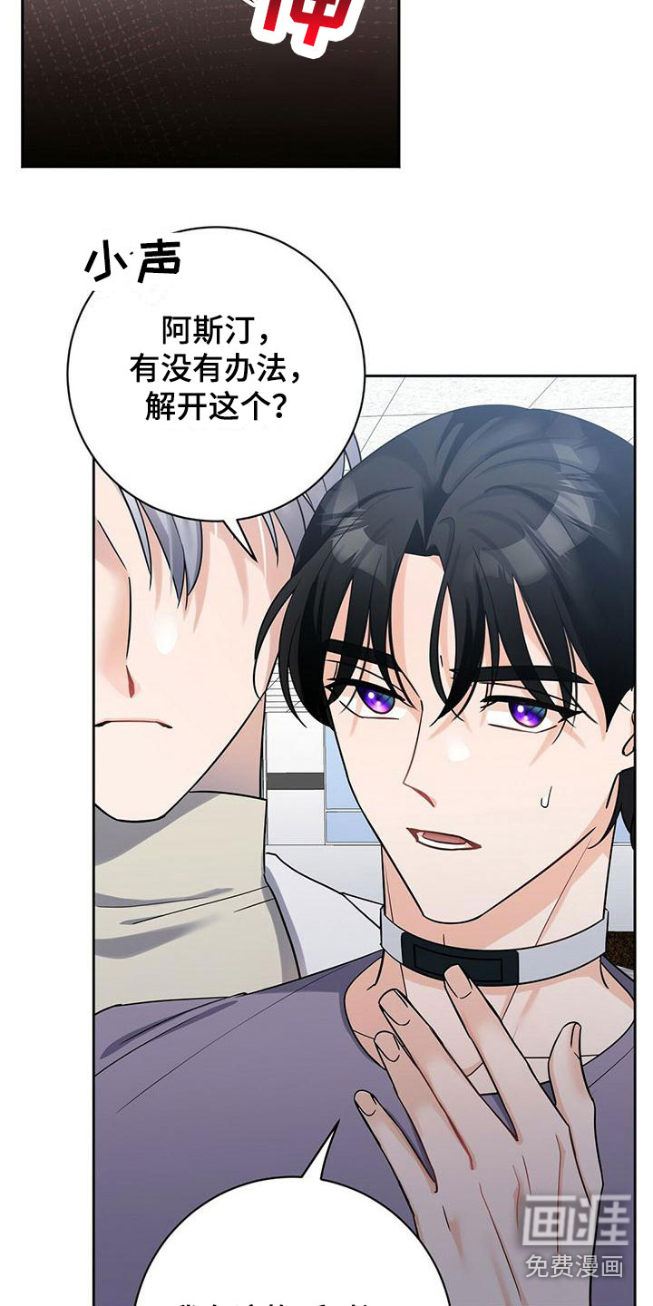 第8话：第8章：上校预览分镜