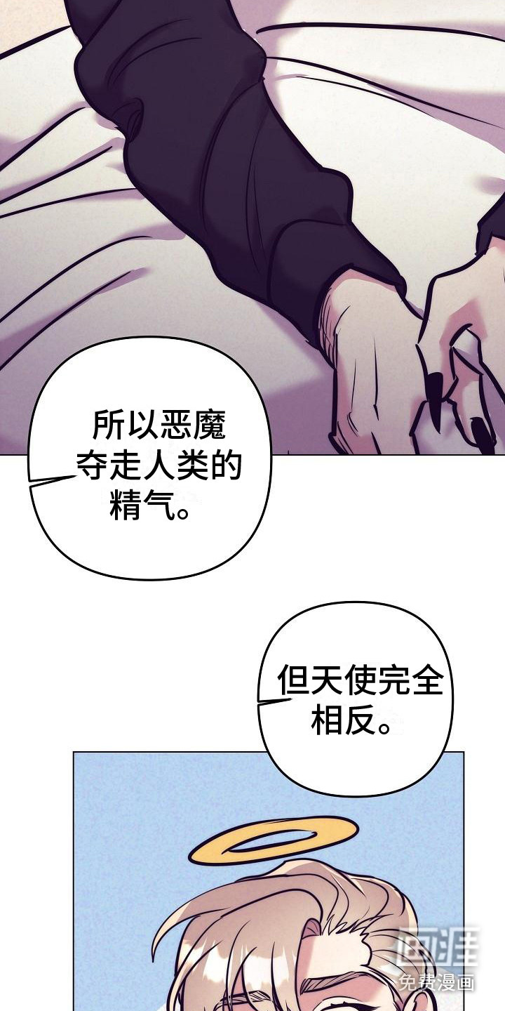 天使契约:最好的结局(完结)