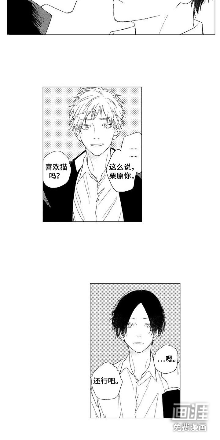 第17话：第17章：情不自禁预览分镜