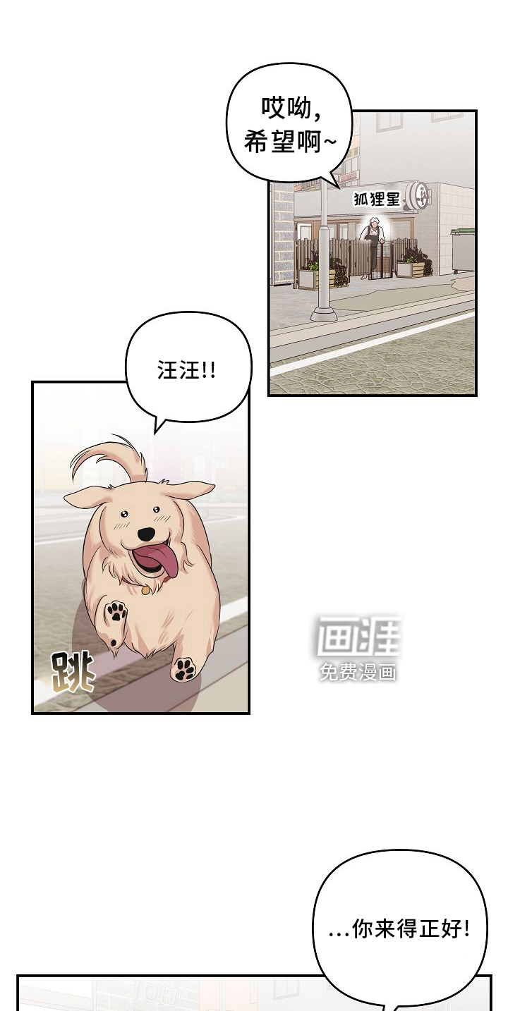 第16话：第16章：相似预览分镜
