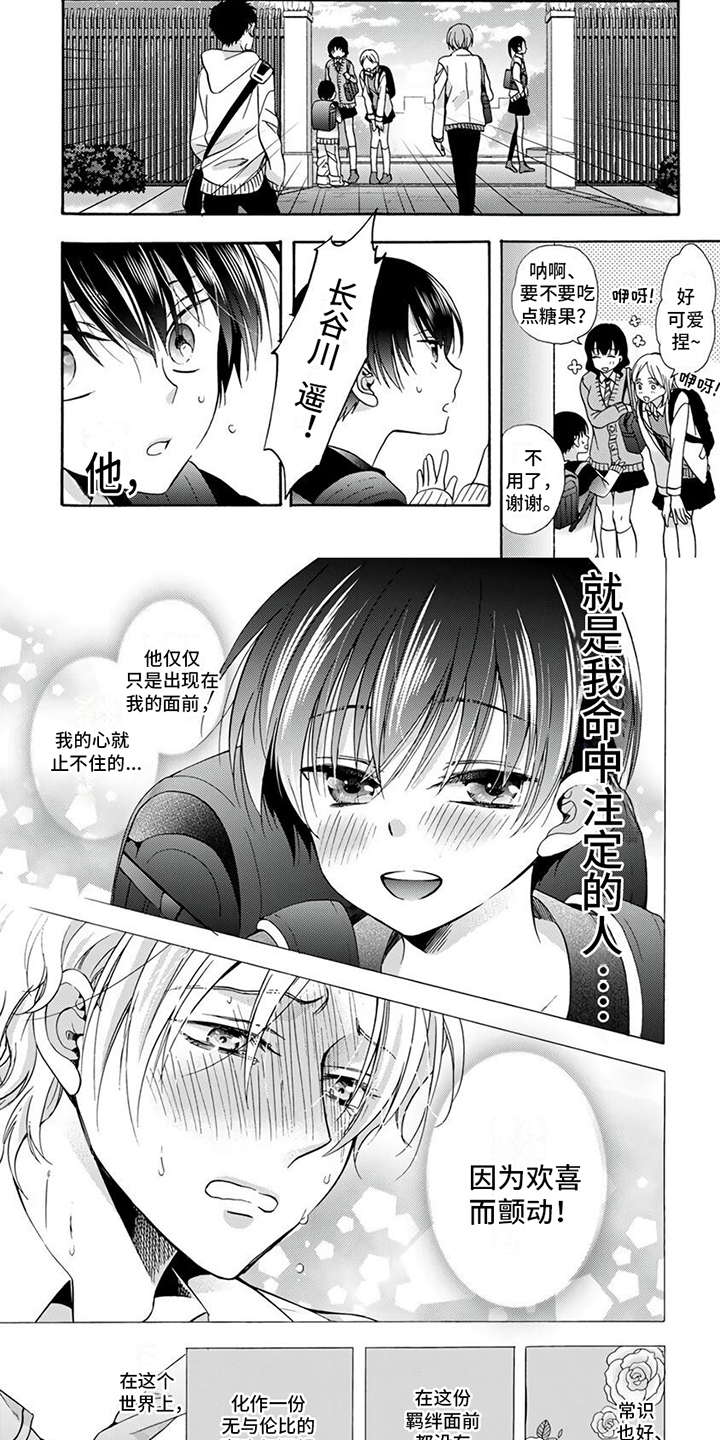 第2话：命定之人预览分镜