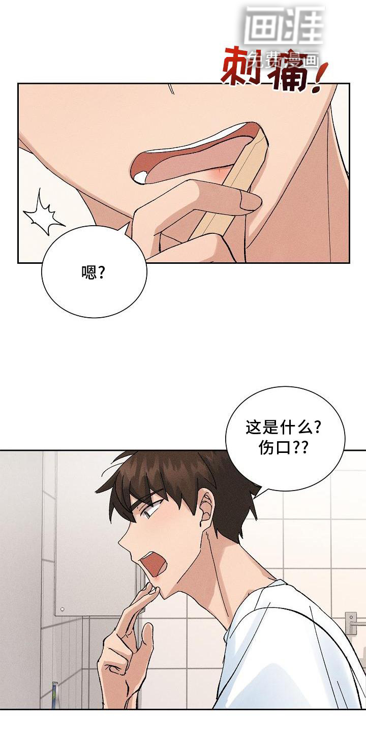 第17话：第17章：暗恋预览分镜