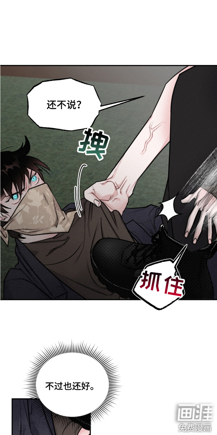 第12话：第12章：抓到了预览分镜
