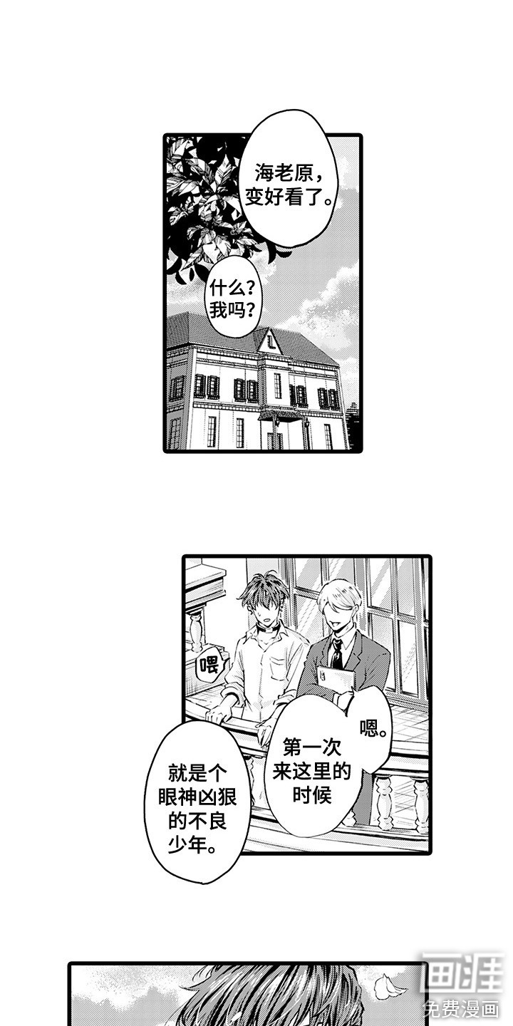 第9话：第9章：客人预览分镜