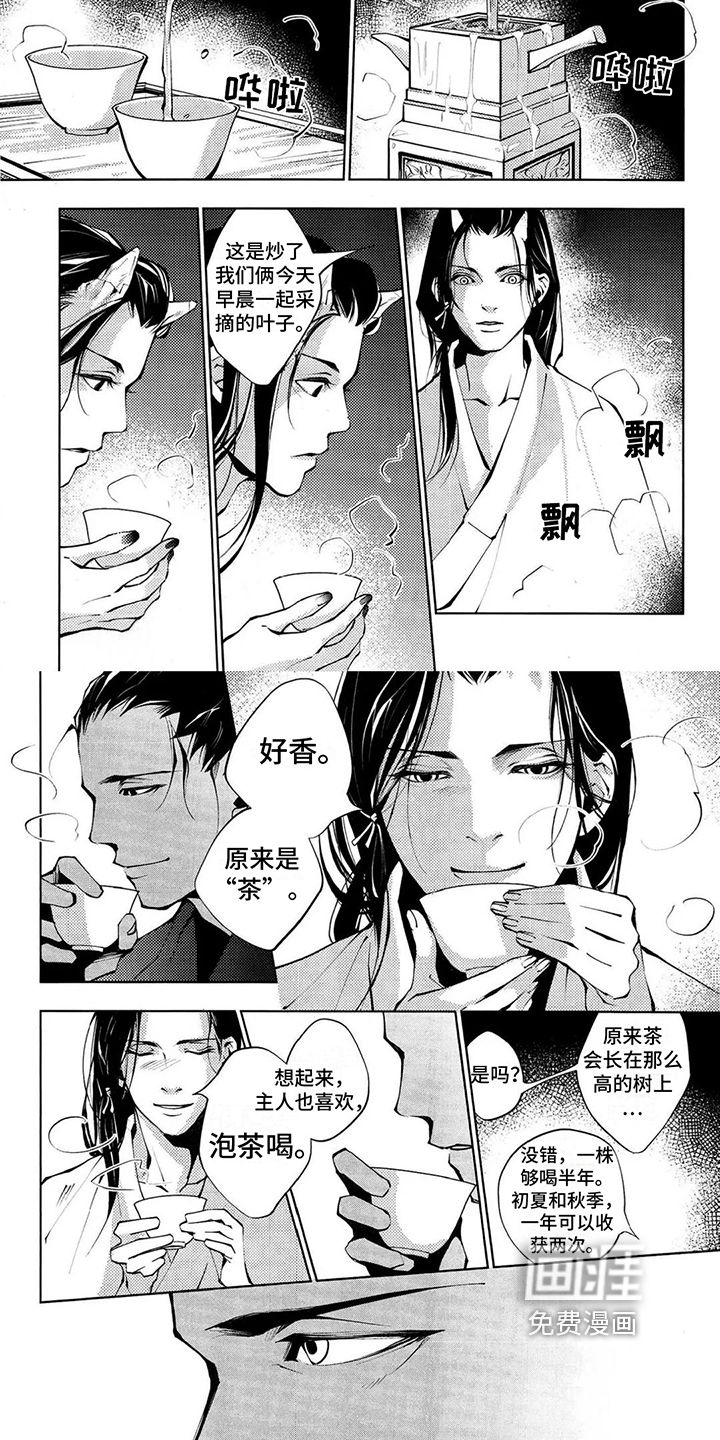 第5话：第5章：泡茶预览分镜