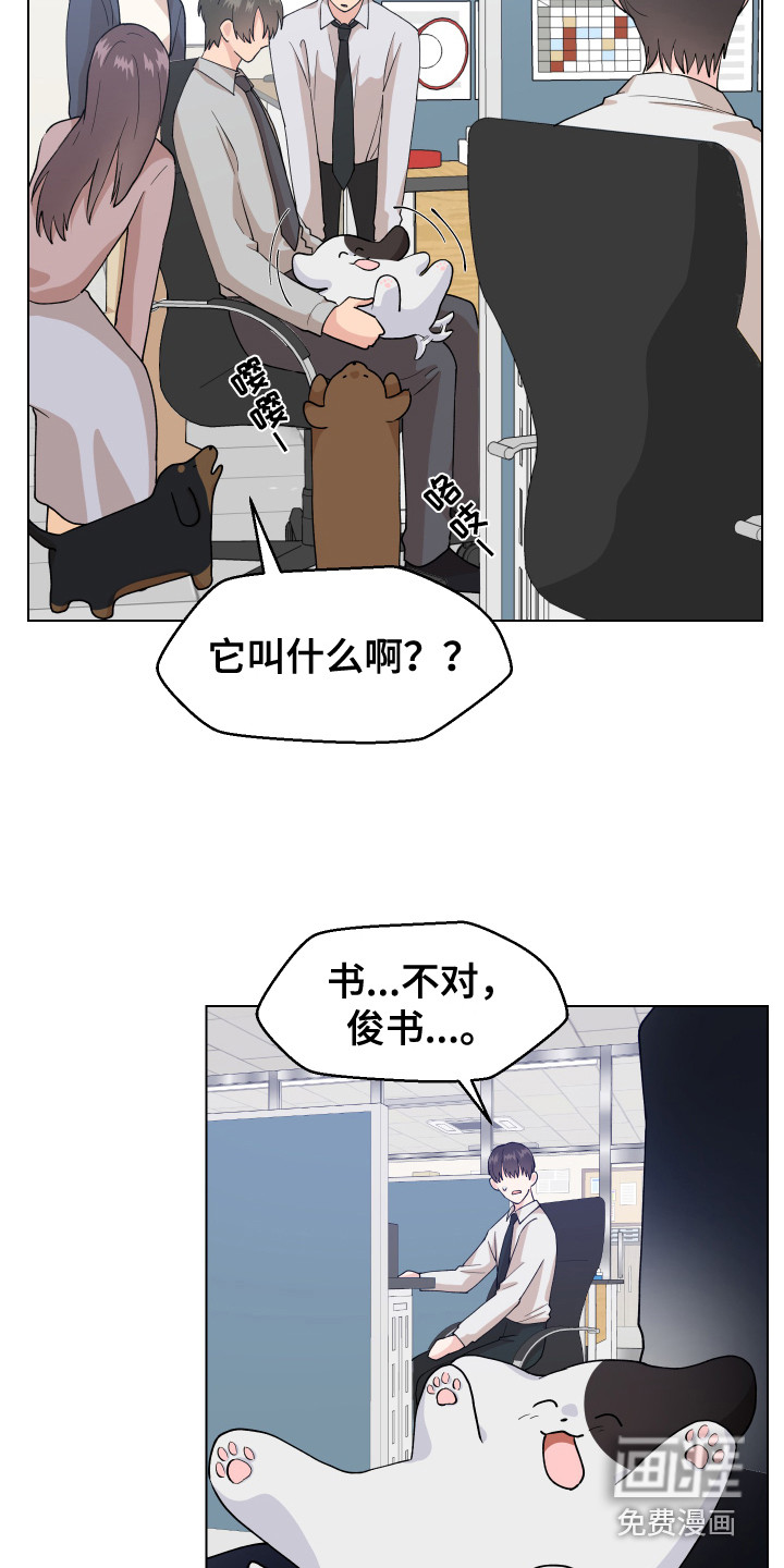 第6话：第6章：很可爱预览分镜