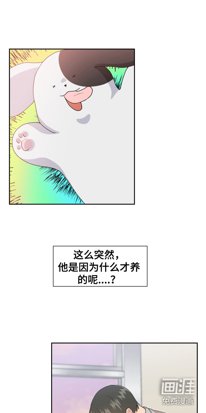 第13话：第13章：变回来了预览分镜