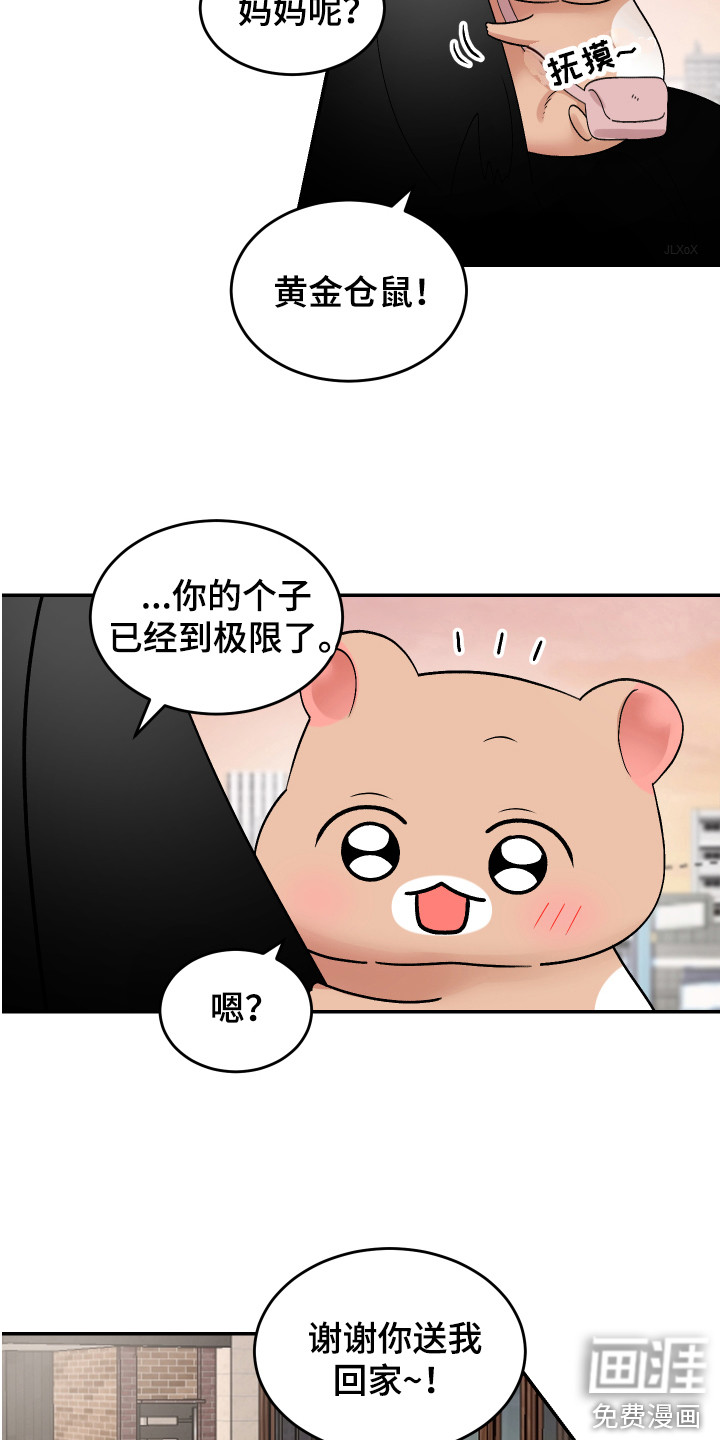 第14话：第14章：珍藏的食物预览分镜