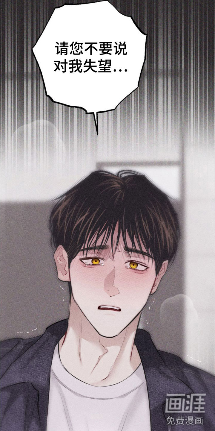 第8话：第8章：特别的弟子预览分镜