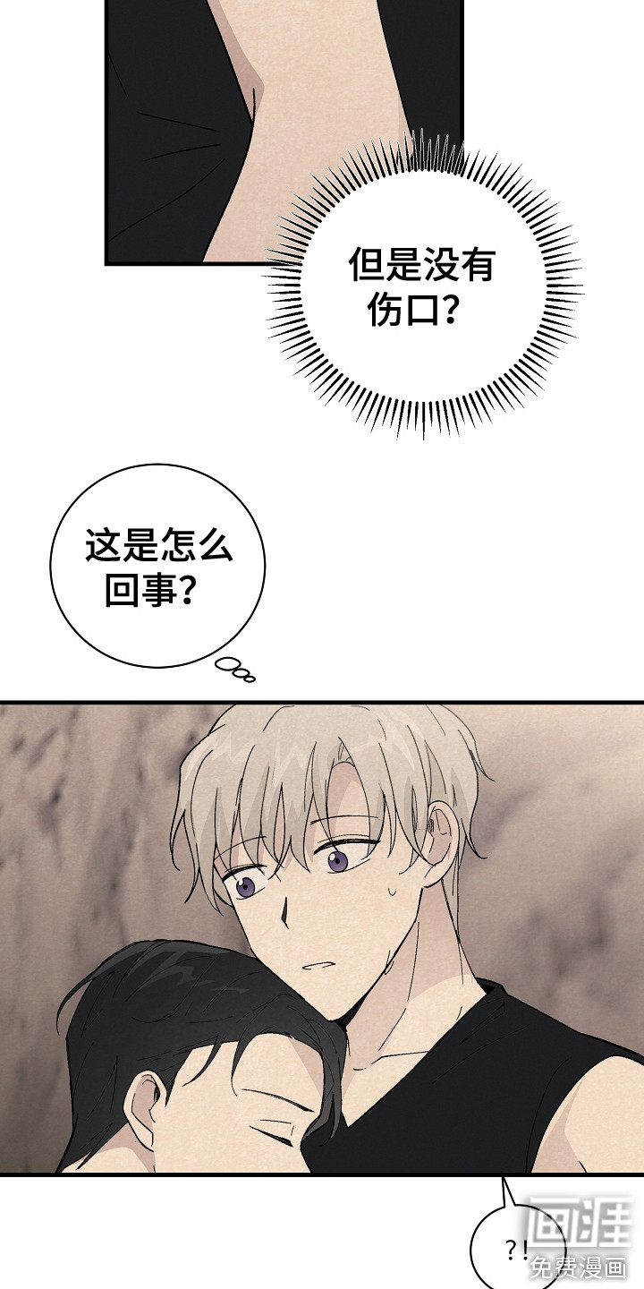 第11话：第11章：匹配度预览分镜