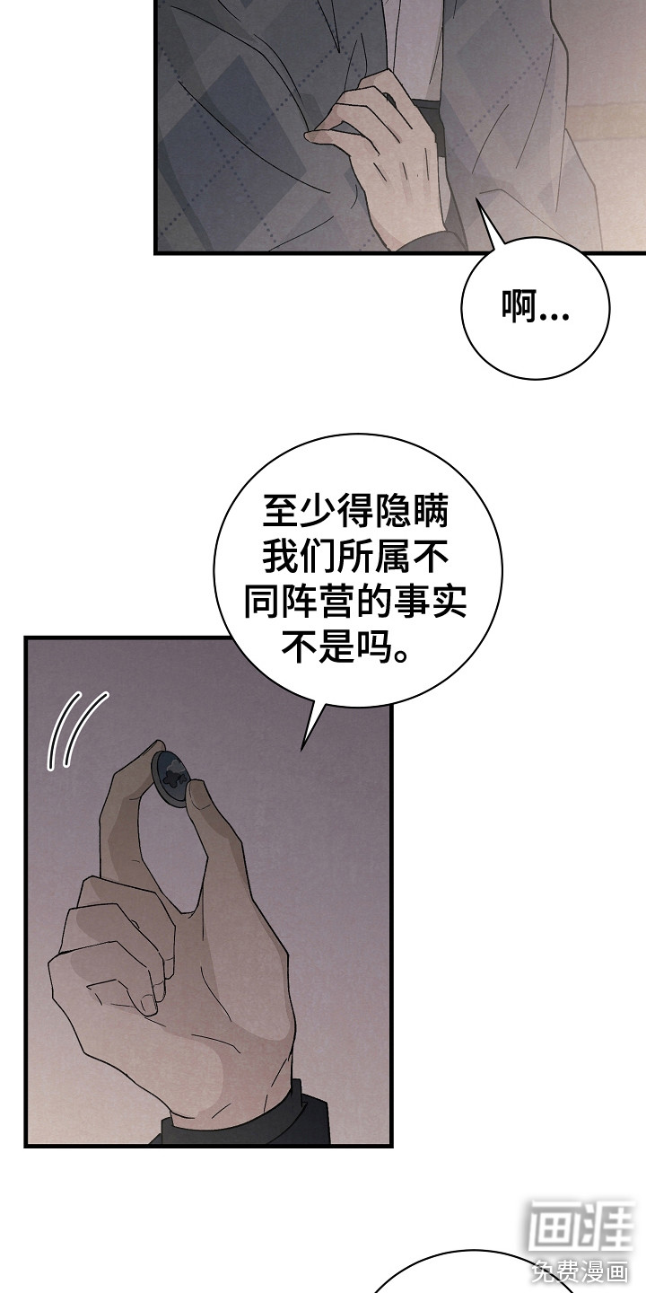 第15话：第15章：细心预览分镜