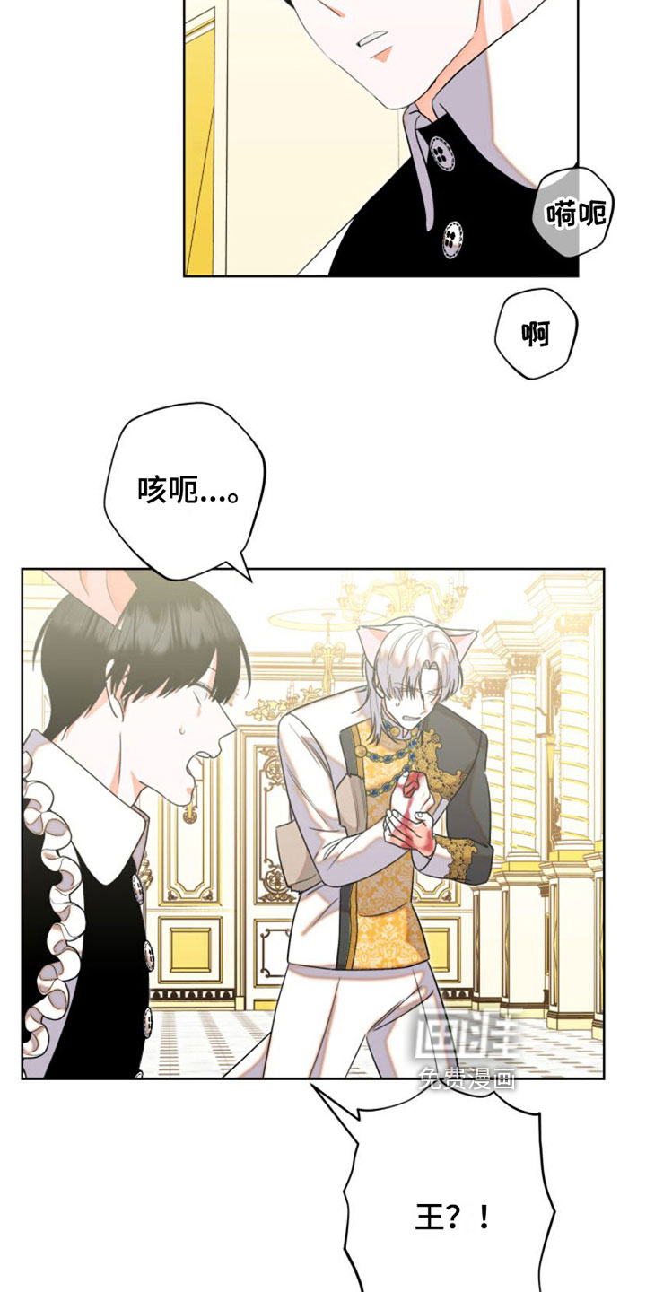 第6话：第6章：包扎预览分镜