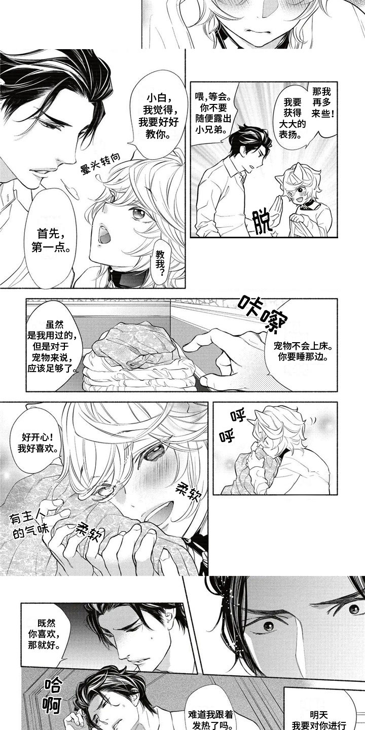 第3话：第3章：主人预览分镜