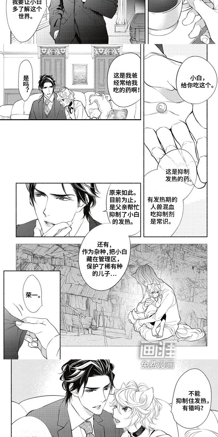 第5话：第5章：教育预览分镜