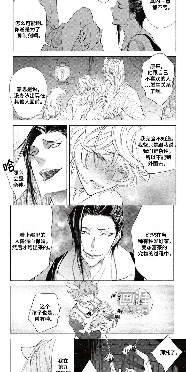第10话：第10章：拍卖预览分镜