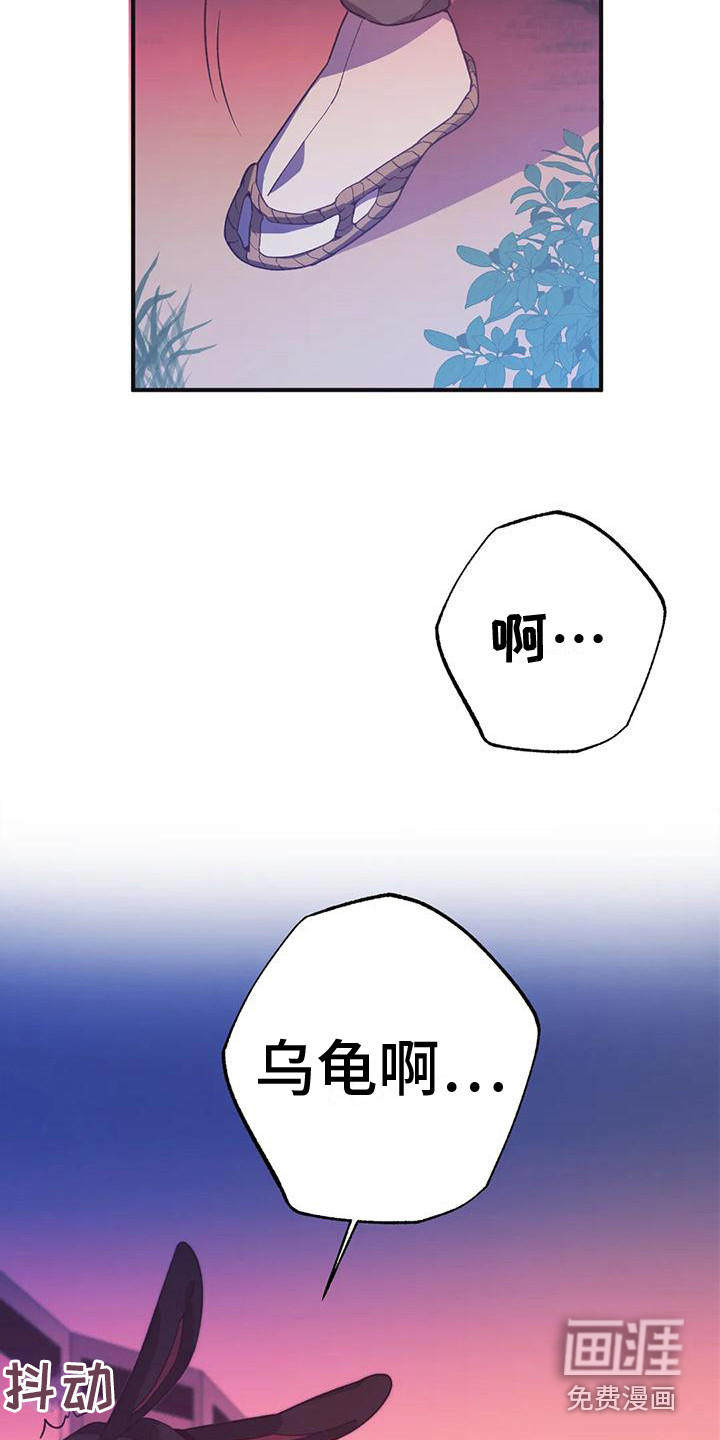 第12话：第12章：兔子的处境：等着瞧预览分镜