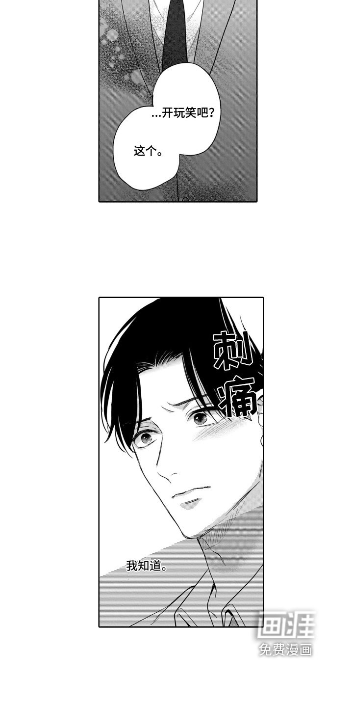 第15话：第15章：维护预览分镜
