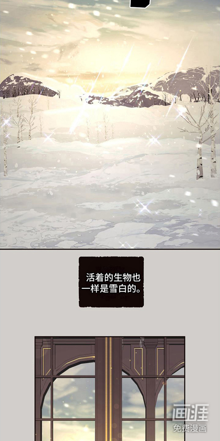 第12话：第12章：北极兔：雪国预览分镜