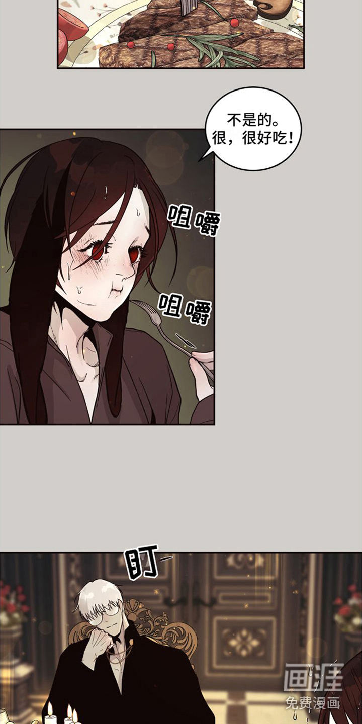 第14话：第14章：北极兔：跟随预览分镜