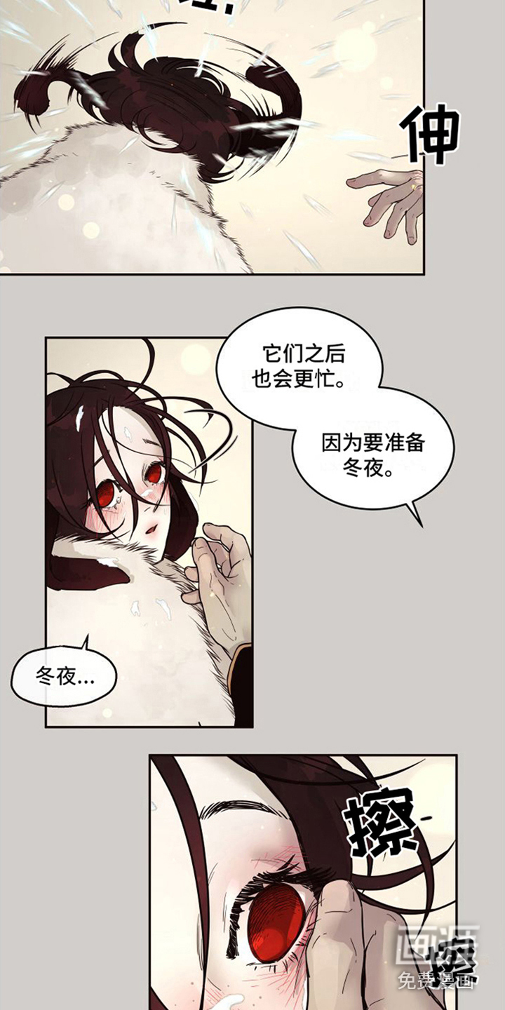 第15话：第15章：北极兔：选择权预览分镜