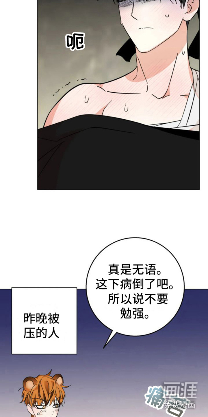 乱入的老虎:非常甜(完)