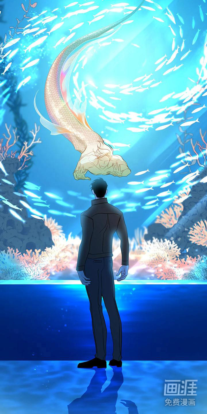 第11话：第11章：擦拭预览分镜