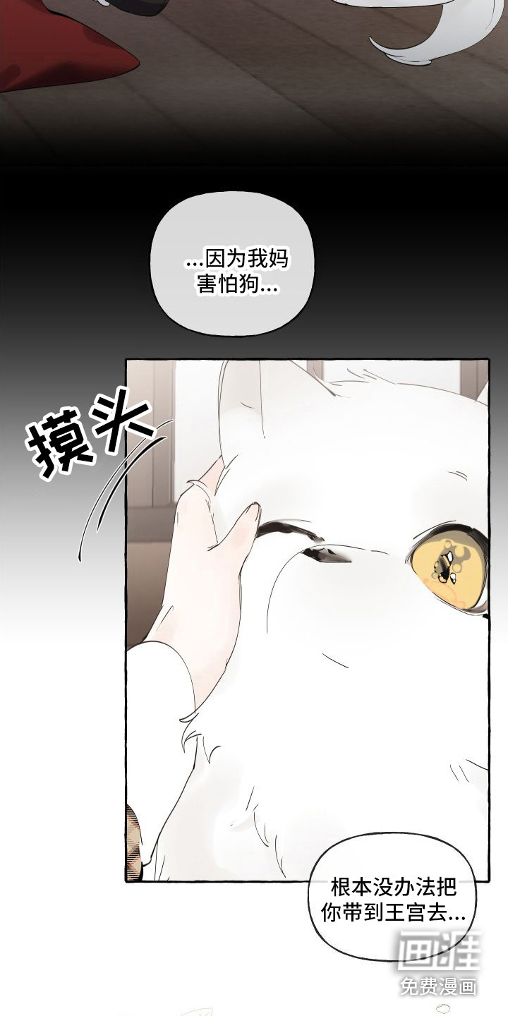 第14话：第14章：绒球预览分镜