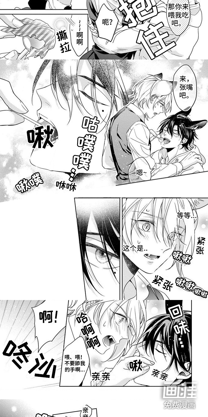 第15话：第15章：十分美味（完结）预览分镜