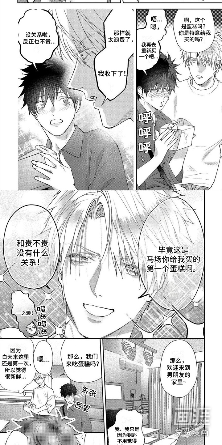 蛋糕(完结)