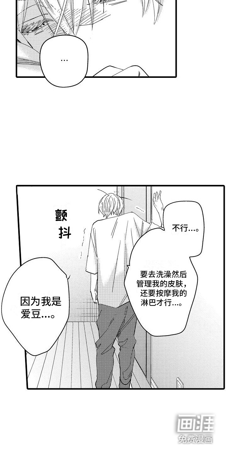 第7话：第7章：规则预览分镜