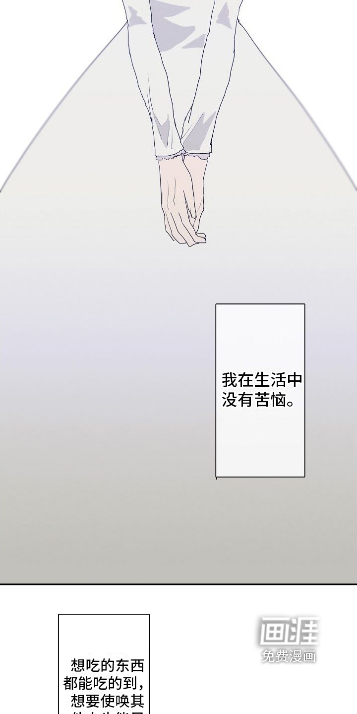 第4话：第4章：教导预览分镜