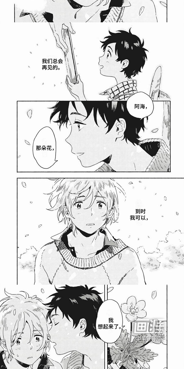 答案【完结】