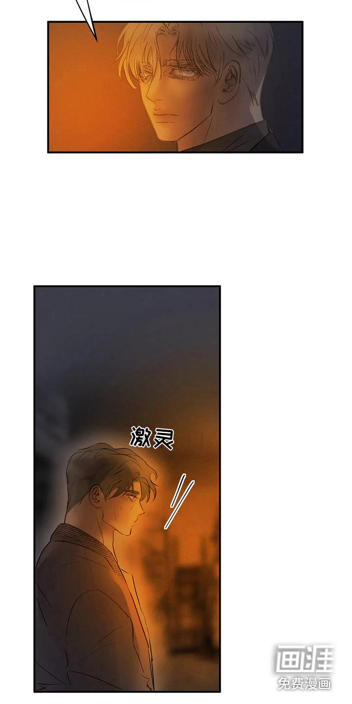 第11话：第11章：迷茫预览分镜