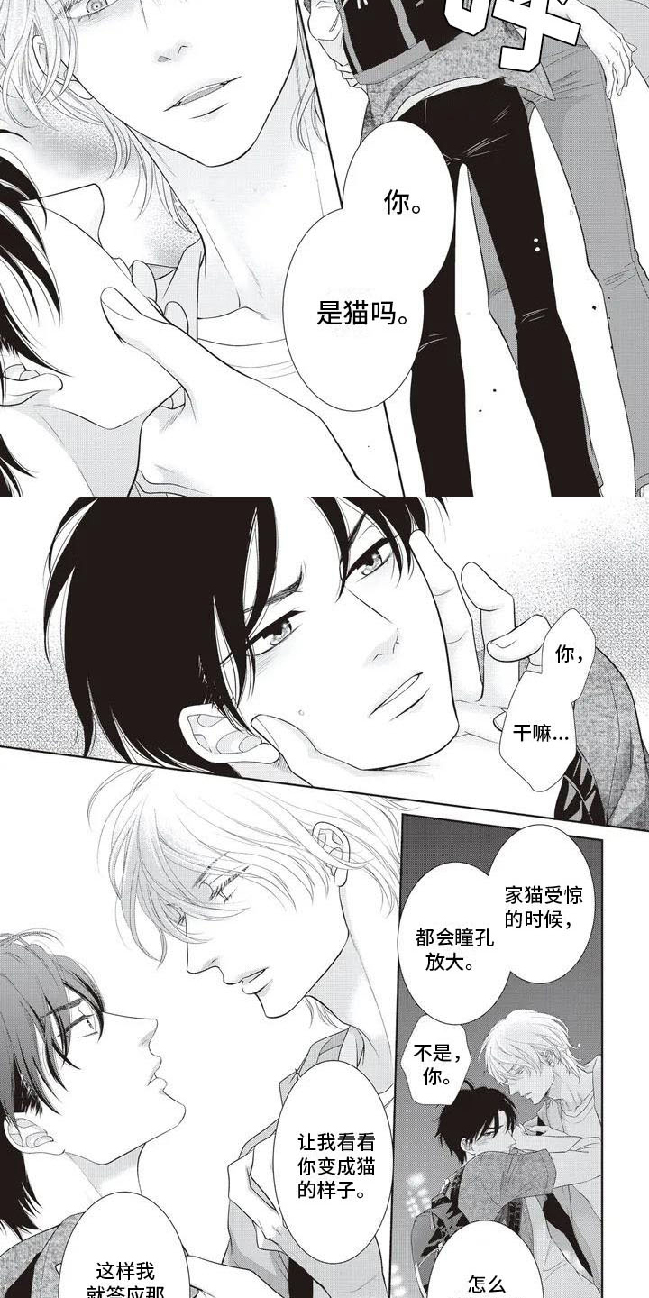 第3话：第3章：家猫预览分镜