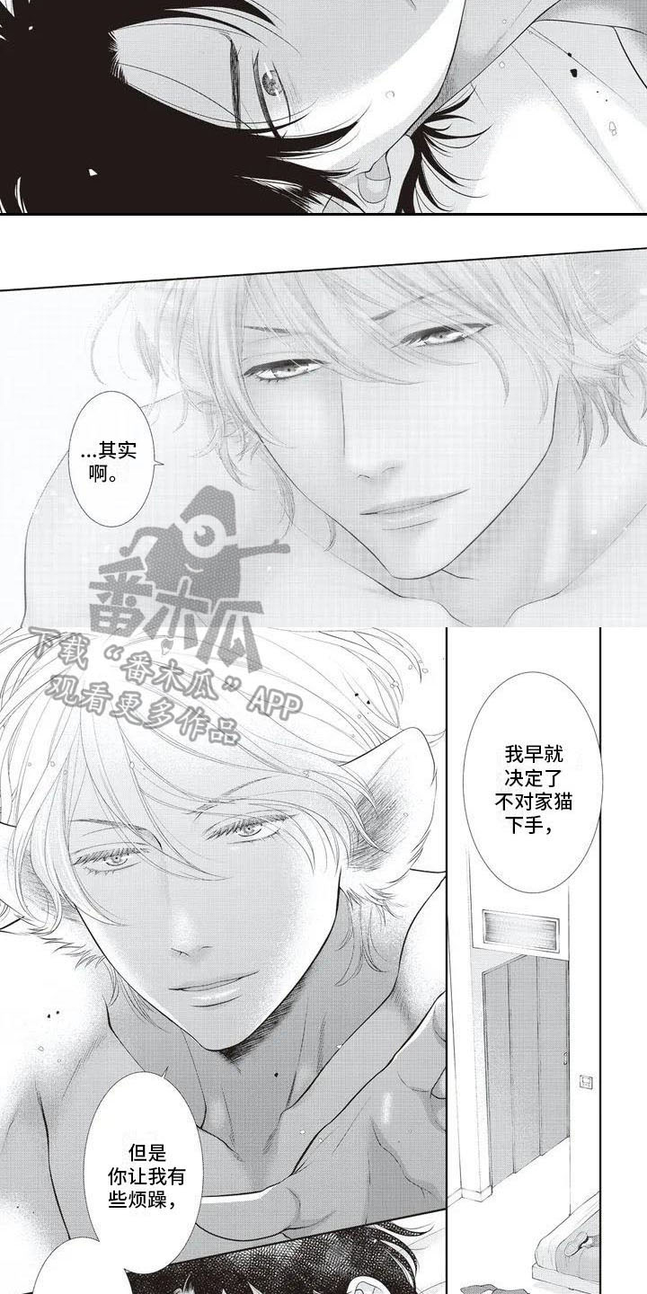 第4话：第4章：在意预览分镜