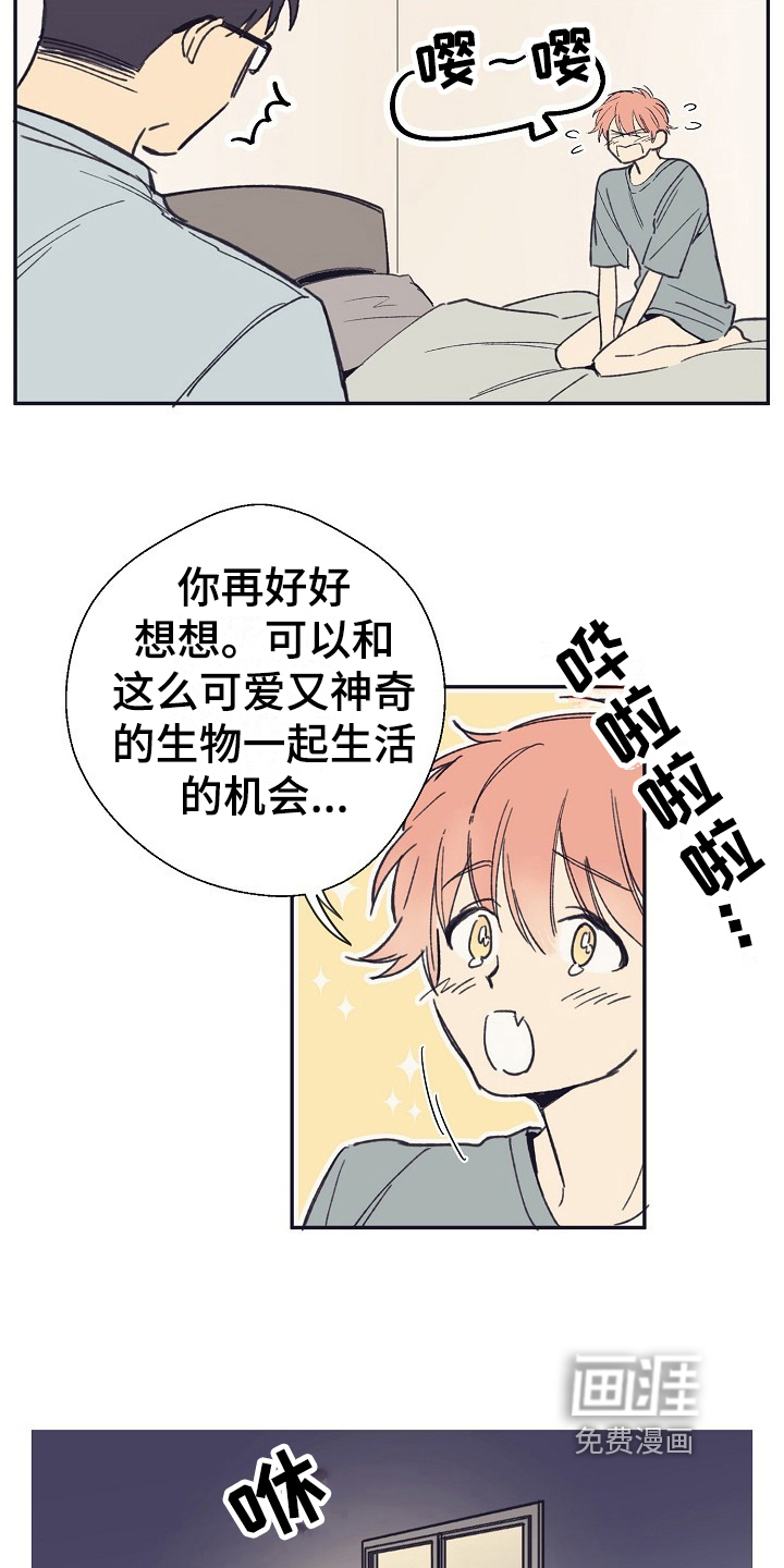 第4话：第4章：收留预览分镜