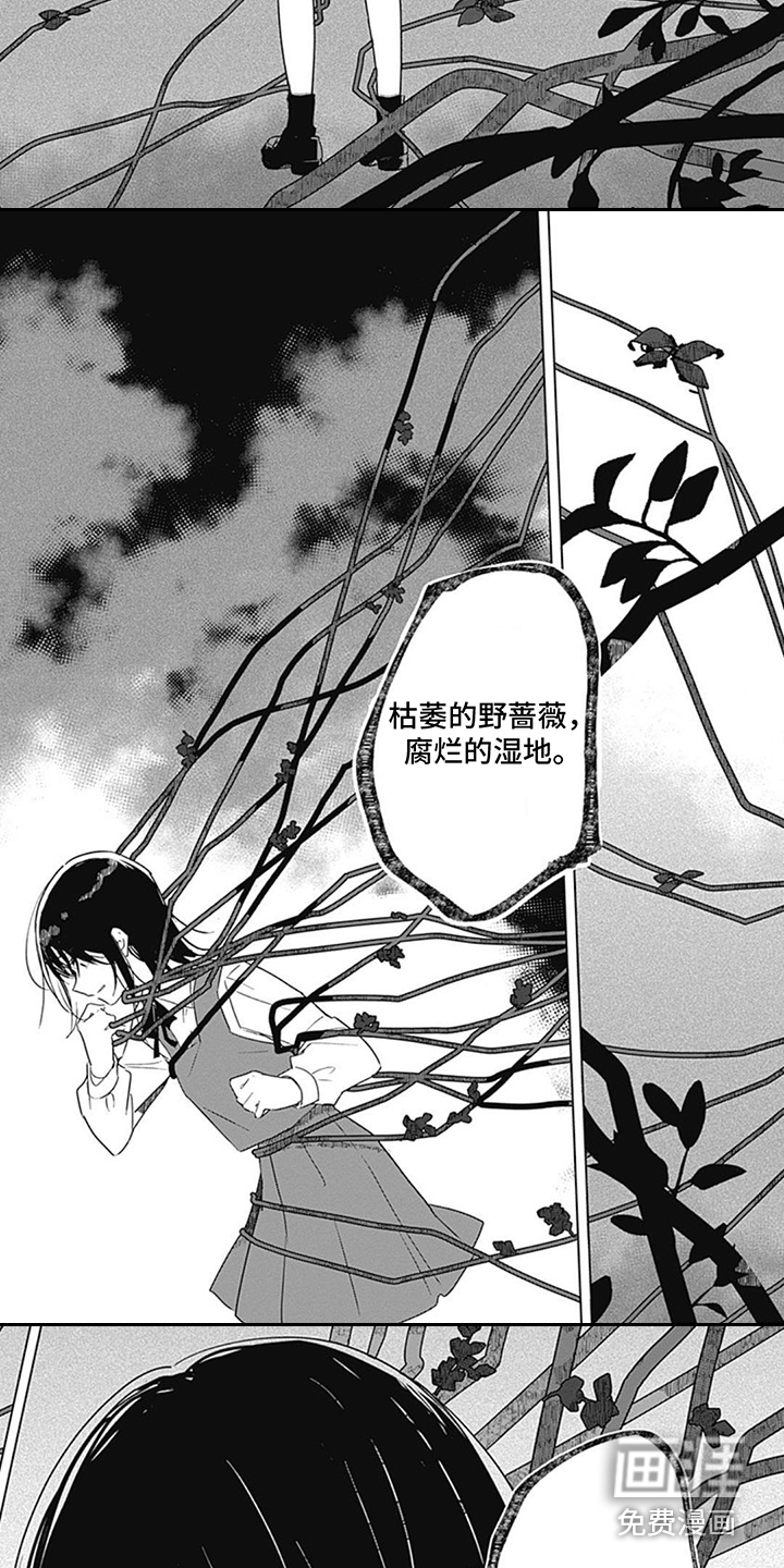 第5话：第5章：身临其境预览分镜