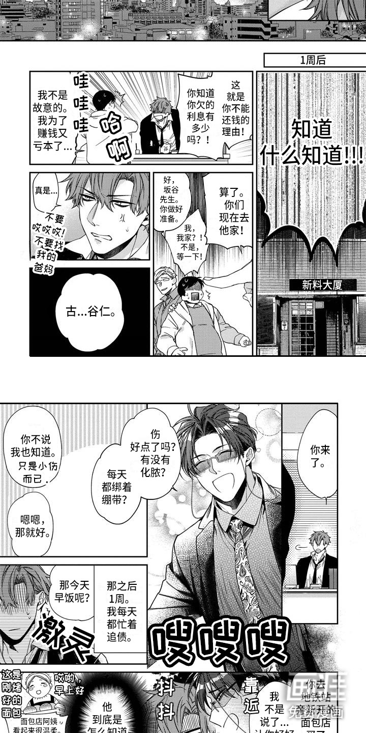 被蛊惑(完结)