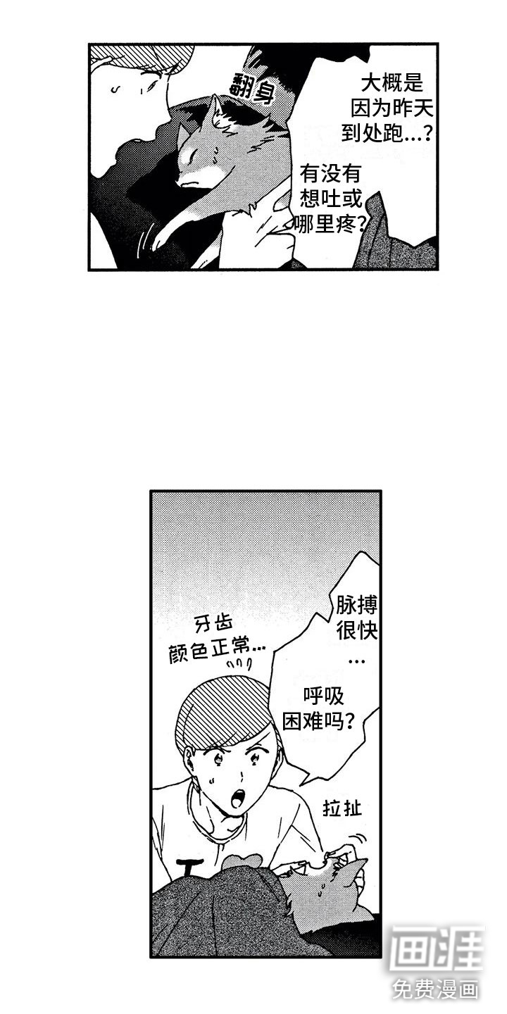 第4话：第4章：发烧了预览分镜