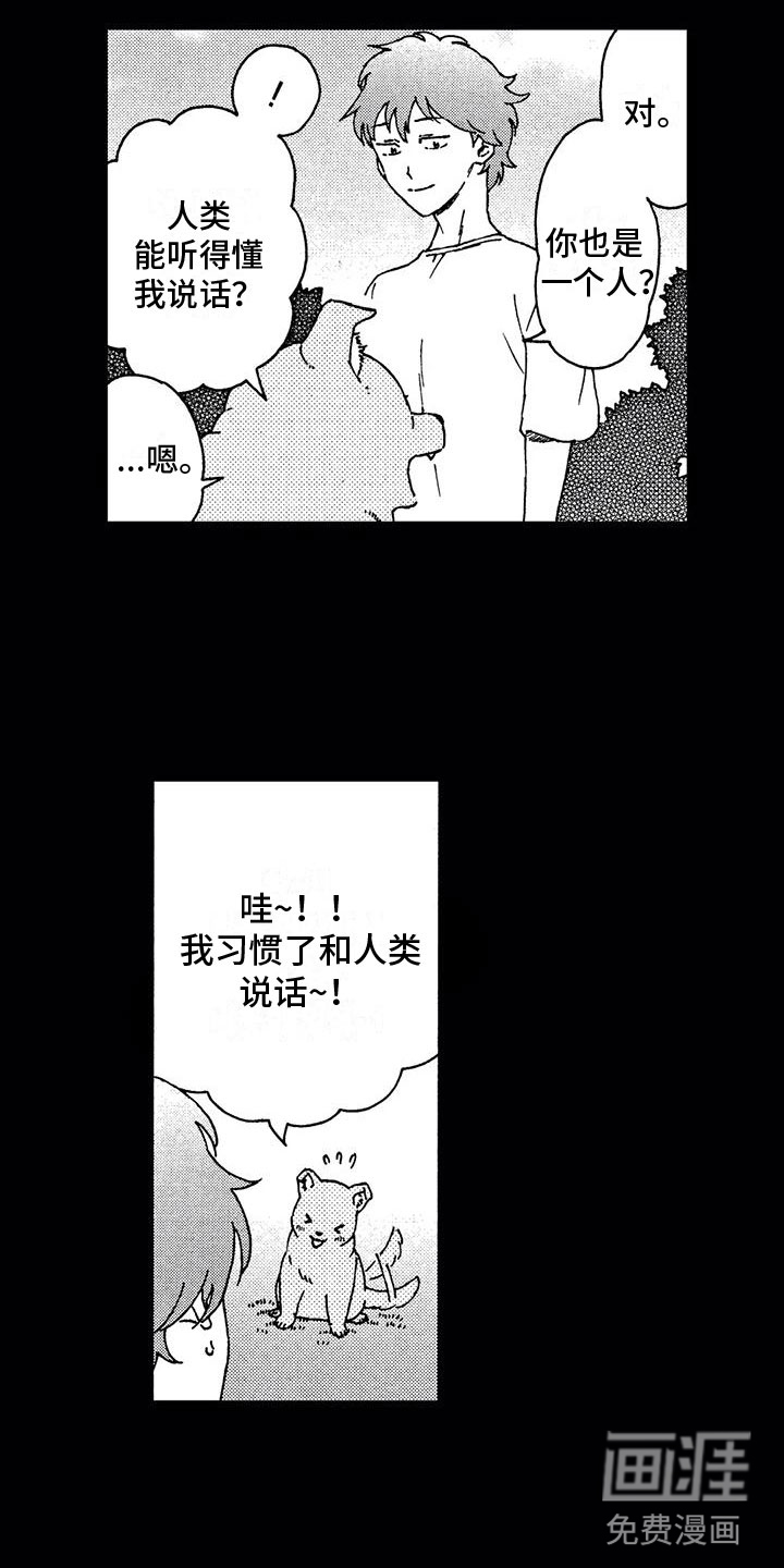第5话：第5章：狼人预览分镜