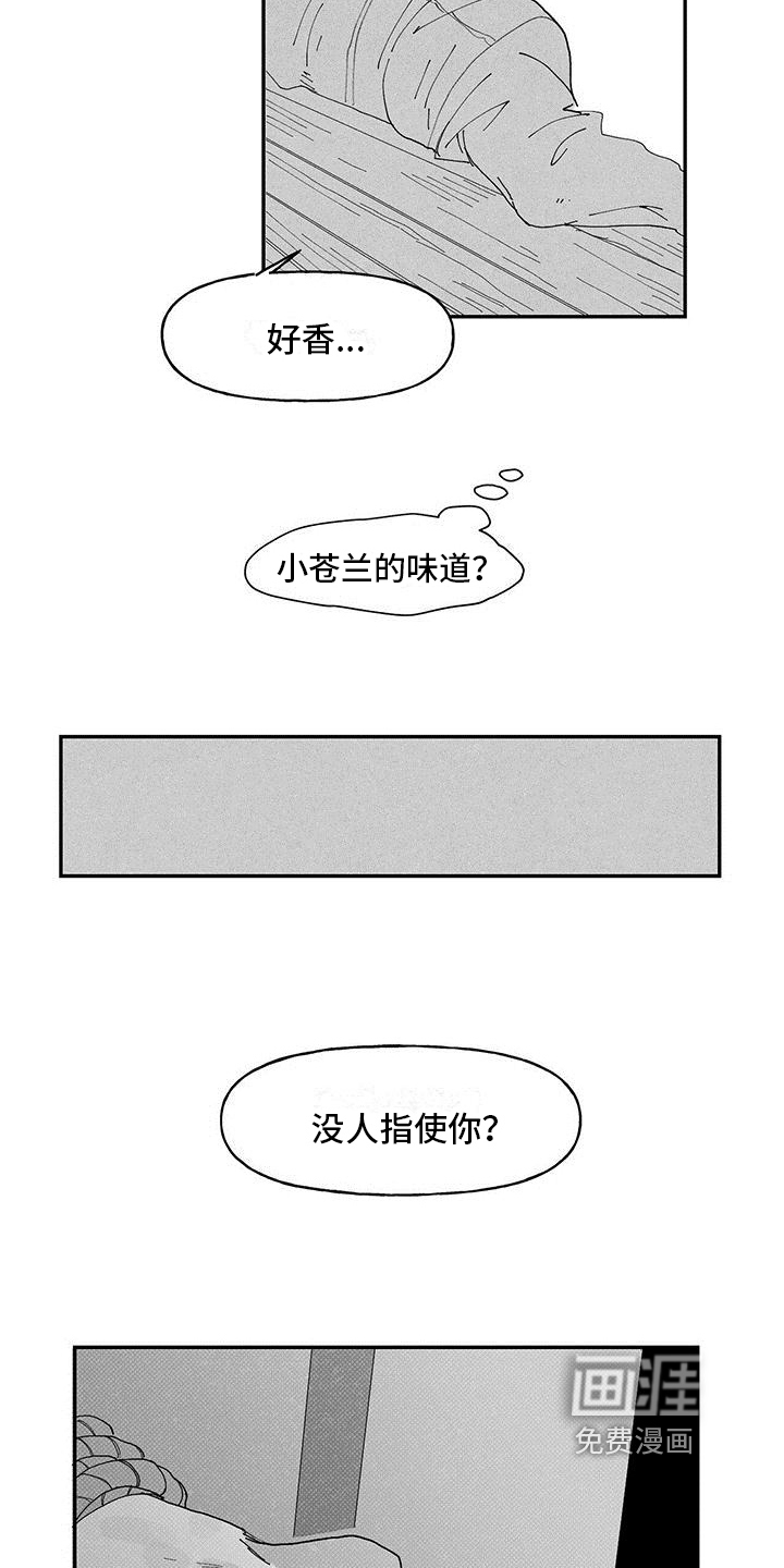 第10话：第10章：经历预览分镜