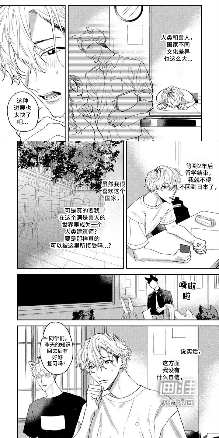 第9话：第9章：求婚预览分镜