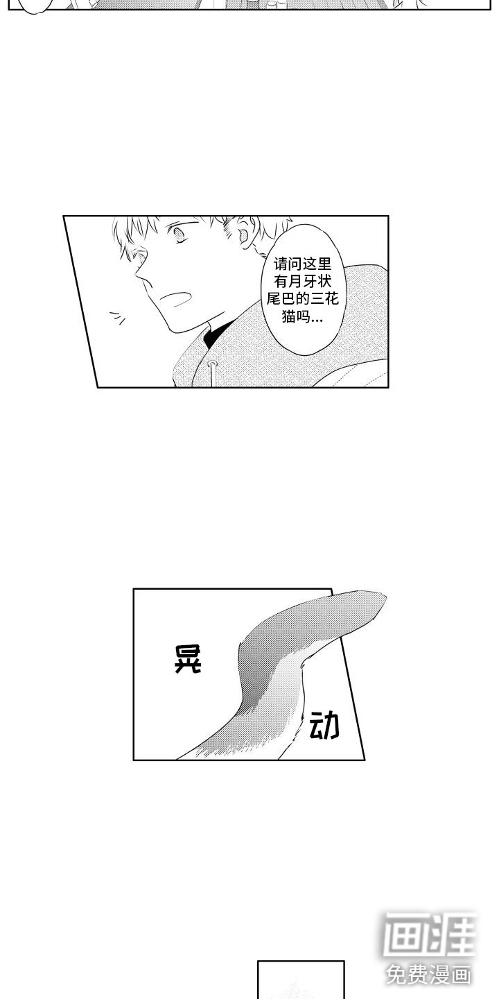 第4话：第4章：味道预览分镜