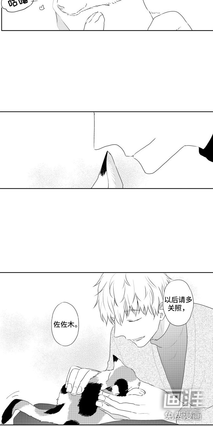 第6话：第6章：想看狗狗预览分镜