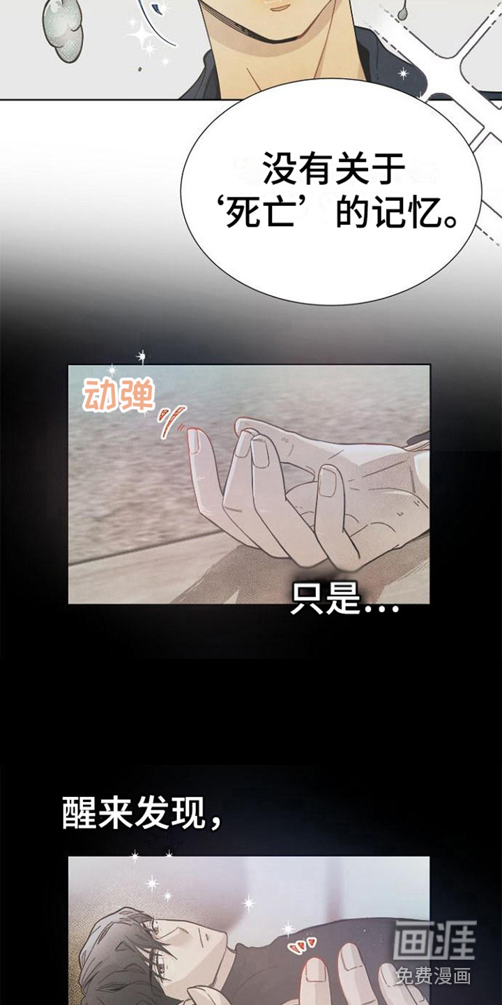 第9话：第9章：结婚协约书预览分镜