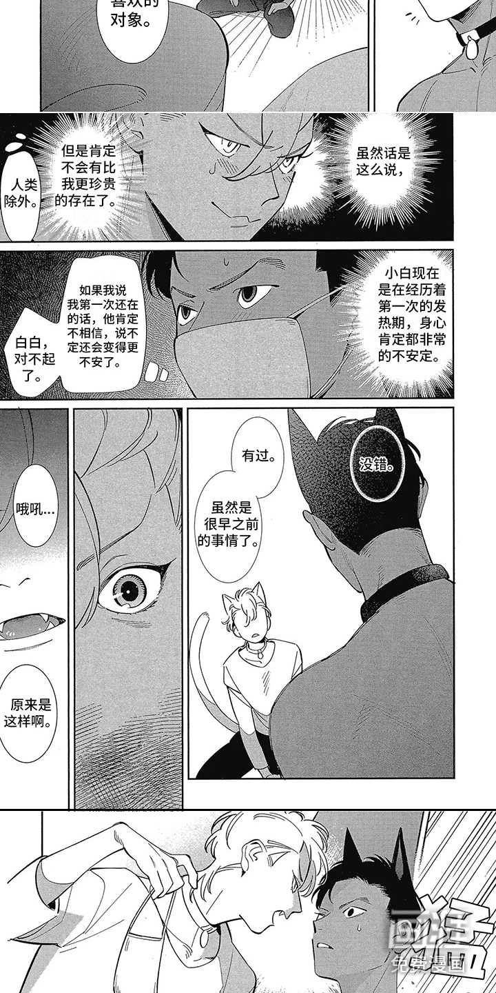 第5话：第5章：不安定预览分镜