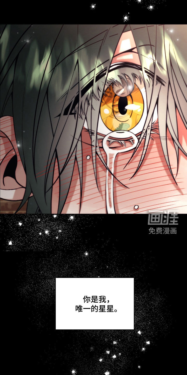 第13话：第13章：【第二季】友情与爱：都是你的错预览分镜