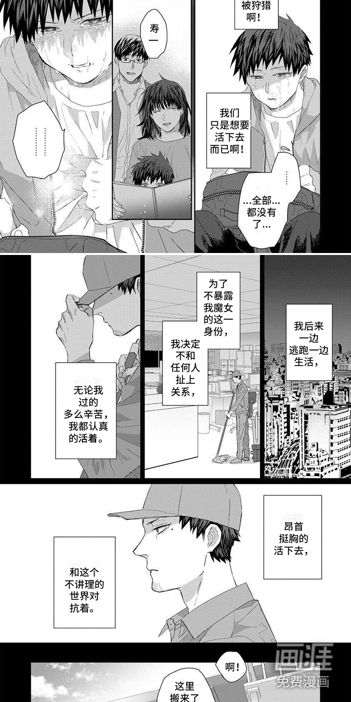 第7话：第7章：认真活着预览分镜